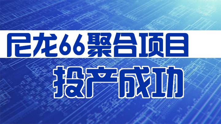 新力新材“尼龍66聚合項目”正式投產(chǎn)成功