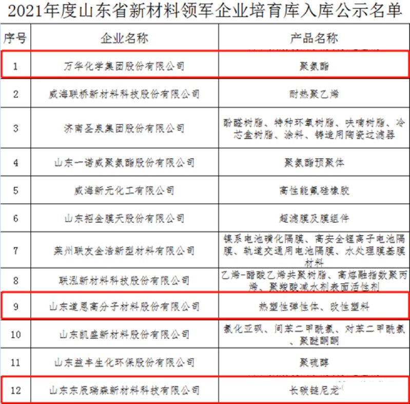 萬(wàn)華化學(xué)、山東道恩、東辰瑞森等企業(yè)在列！2021年度山東省新材料領(lǐng)軍企業(yè)公示