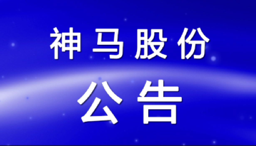 神馬股份擬引資12億做大尼龍產(chǎn)業(yè)