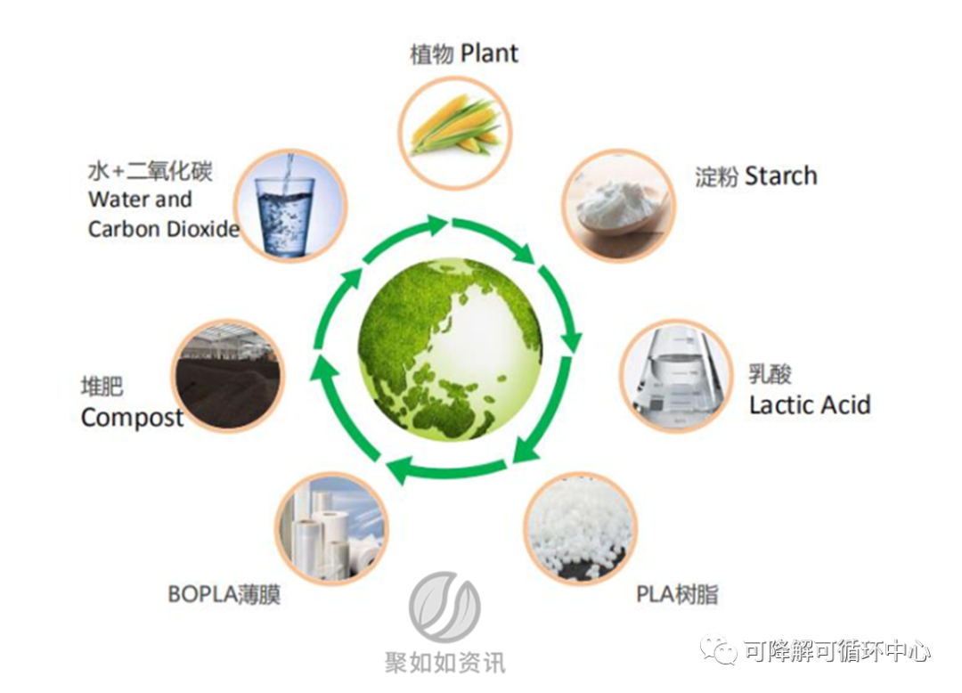 中侖新材IPO受理，擬建2萬噸高端BOPLA薄膜