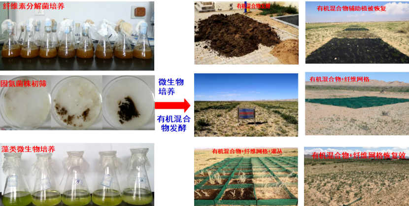 聚乳酸在荒漠化治理中成果斐然！